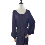 Elegant Sheer Dress