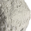 Lace5